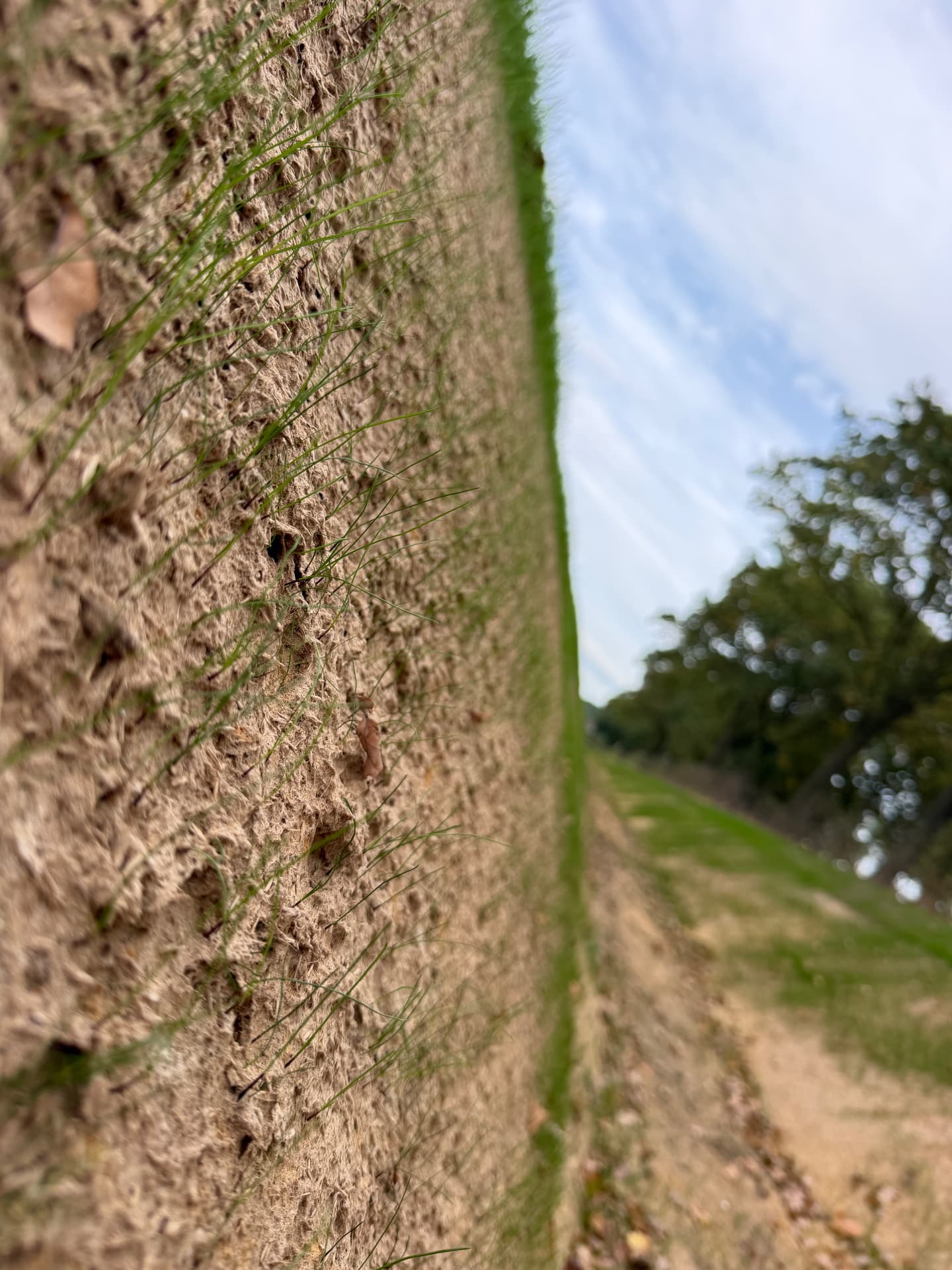 Gras zaaien op een talud? Kies voor hydroseeding