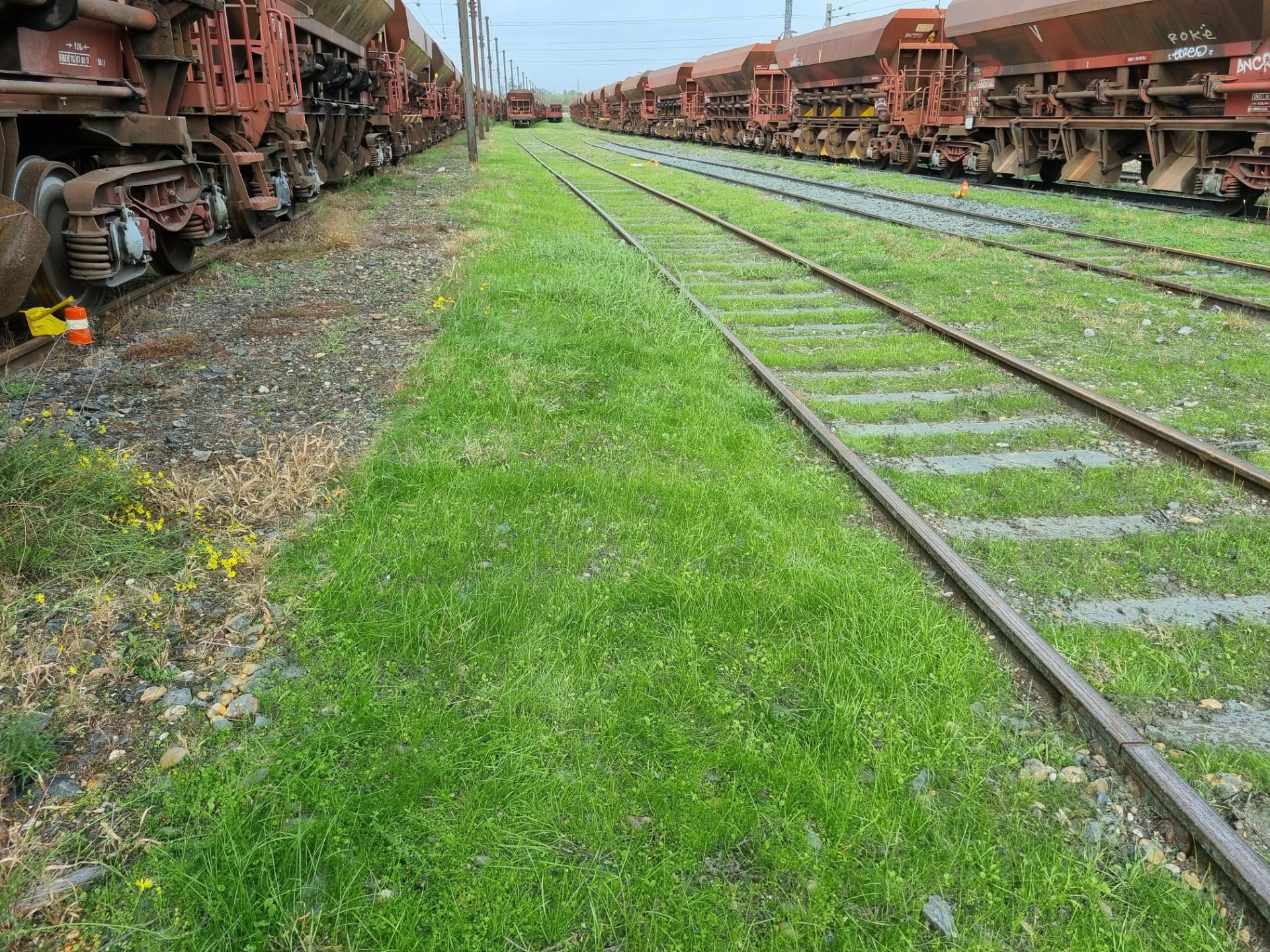 Infrastructuurvergroening